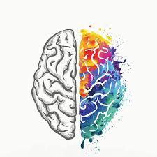 NeuroPerformance: Zihin ve Hareket Optimizasyonu